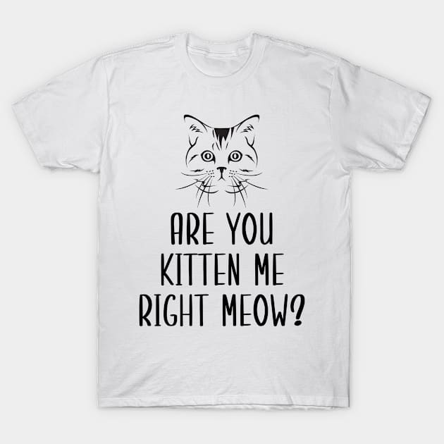 Are You Kitten Me Right Meow T-Shirt by Health